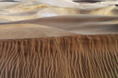 INV-0055