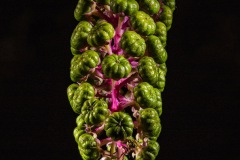 INV-0075
