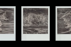 web-fertig-Pola-3er